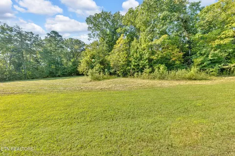 E Shore Drive, Rockwood, TN 37854