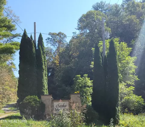 lot39 Sugar Maple Way, Del Rio, TN 37727