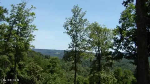 lot7 E Rock Fish Ln, Hilham, TN 38568