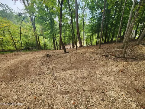 1515 Catoosa Dr, Mooresburg, TN 37811