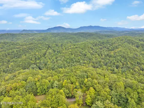 399 Cooper Rd, Vonore, TN 37885 photo 18