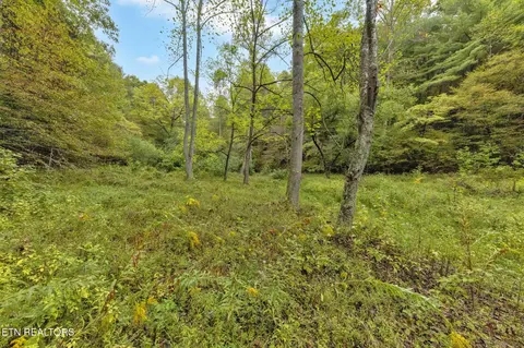 399 Cooper Rd, Vonore, TN 37885 photo 3