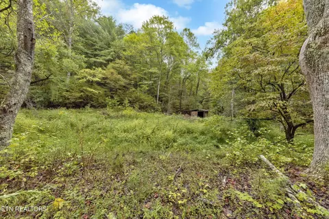 399 Cooper Rd, Vonore, TN 37885 photo 2