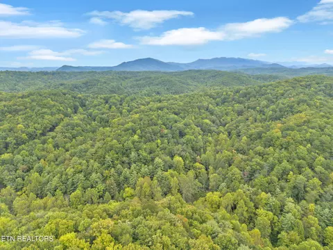 399 Cooper Rd, Vonore, TN 37885 photo 15
