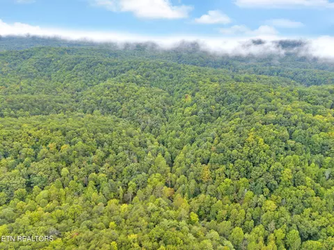 399 Cooper Rd, Vonore, TN 37885 photo 13