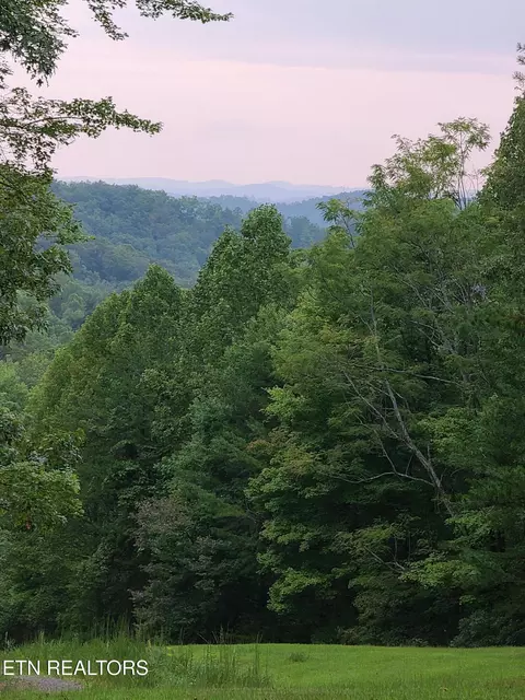 399 Cooper Rd, Vonore, TN 37885 photo 12
