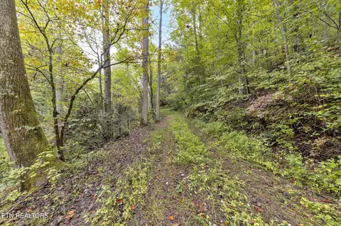399 Cooper Rd, Vonore, TN 37885 photo 9