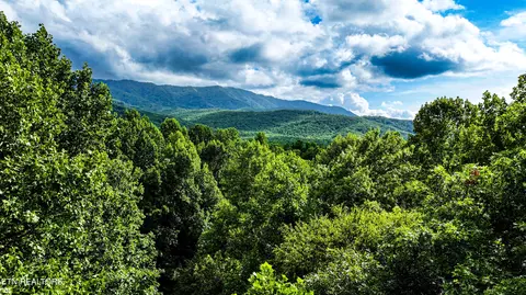 Angie Lane Lane, Gatlinburg, TN 37738