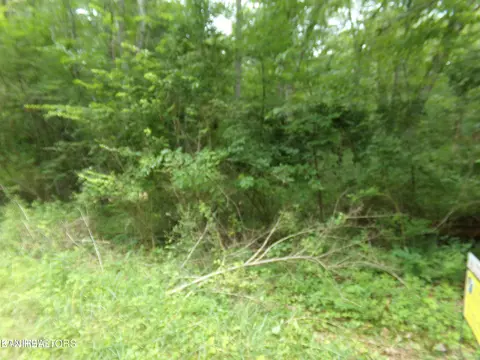 1302 Black Cloud Dr, Crossville, TN 38572
