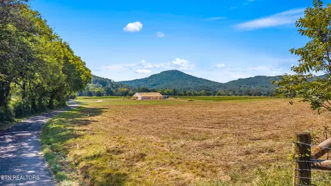 Tree Top Lane, Tellico Plains, TN 37385