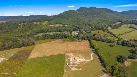 Tree Top Lane, Tellico Plains, TN 37385