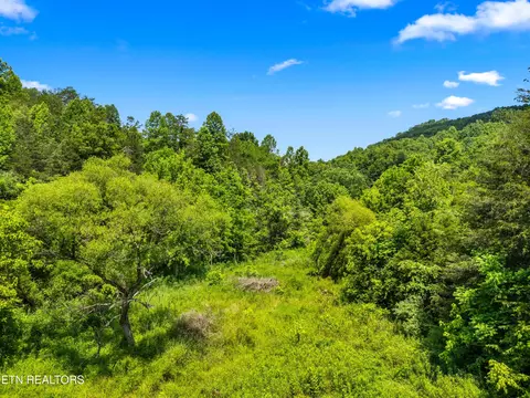 Other - 111 Kyle Valley Rd, Eidson, TN 37731 photo 16 of 16