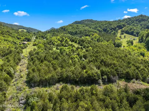 View/Area - 111 Kyle Valley Rd, Eidson, TN 37731 photo 4 of 13