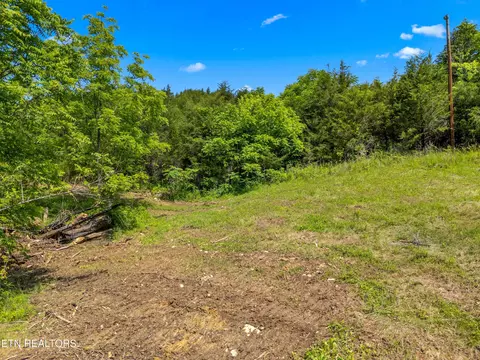 Exterior - 111 Kyle Valley Rd, Eidson, TN 37731 photo 2 of 7