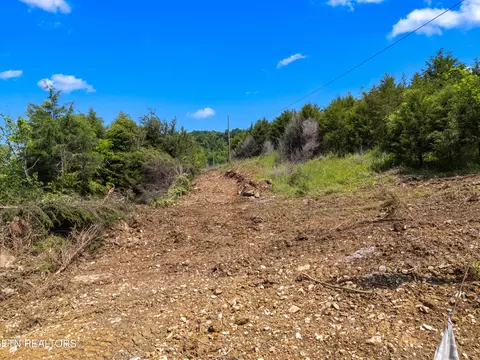Other - 111 Kyle Valley Rd, Eidson, TN 37731 photo 5 of 16