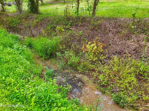 Other - 111 Kyle Valley Rd, Eidson, TN 37731 photo 4 of 16