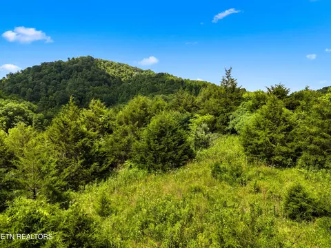 Other - 111 Kyle Valley Rd, Eidson, TN 37731 photo 9 of 16