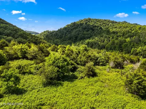 Other - 111 Kyle Valley Rd, Eidson, TN 37731 photo 10 of 16
