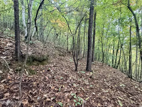 lot192 Clinch View Rd, New Tazewell, TN 37825