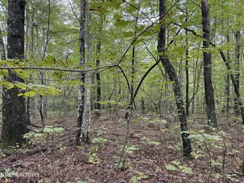White Oak Rd, Monterey, TN 38574