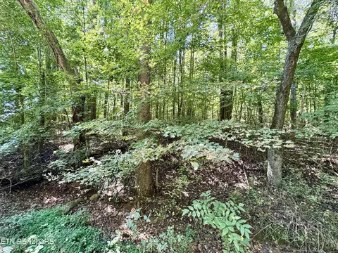 Randolph Fridley Rd, Sweetwater, TN 37874
