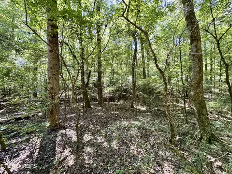 Randolph Fridley Rd, Sweetwater, TN 37874