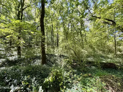 Randolph Fridley Rd, Sweetwater, TN 37874