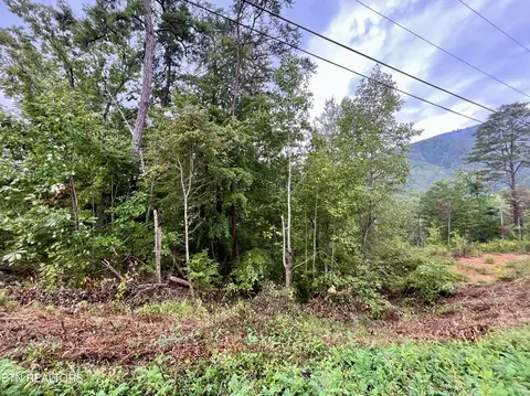 lot97 Bluff Ridge Rd, Sevierville, TN 37876