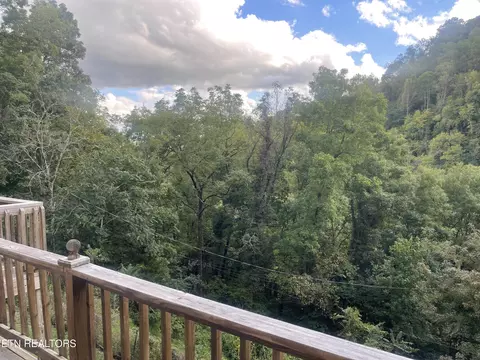 Other - 628 Nettleton Rd, Harrogate, TN 37752 photo 6 of 16