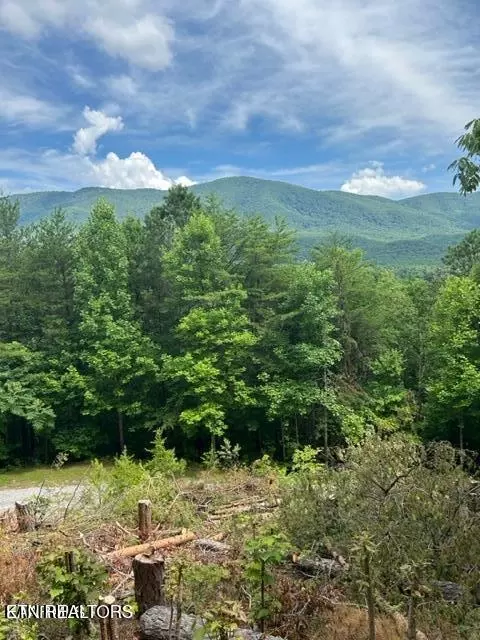 000 Smithfiled Rd, Tellico Plains, TN 37385