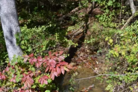 lot1 Arrow Trl, Monterey, TN 38574