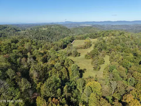 Chestnut Grove Rd, New Tazewell, TN 37825