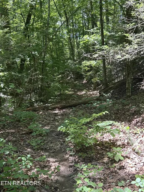 Lower Powdermill Rd, Sevierville, TN 37876