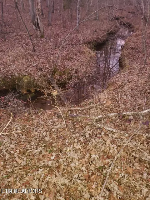 lot45 Indian Tr, Monterey, TN 38574
