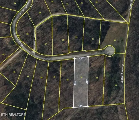 lot51 Horseshoe Bnd, Speedwell, TN 37870