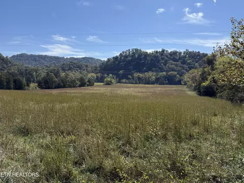 9529 Pedigo Rd, Powell, TN 37849