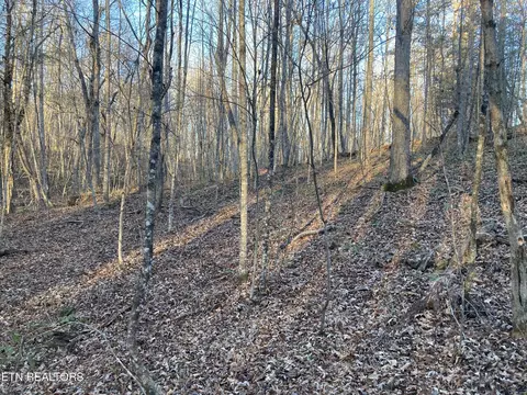 Hardin Private Dr Lots 8 & 9, Robbins, TN 37852