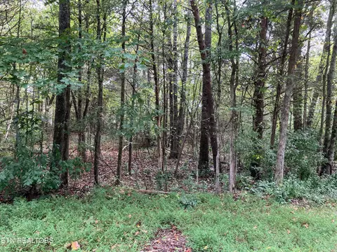 lot1129 Cove Ln, Baneberry, TN 37890