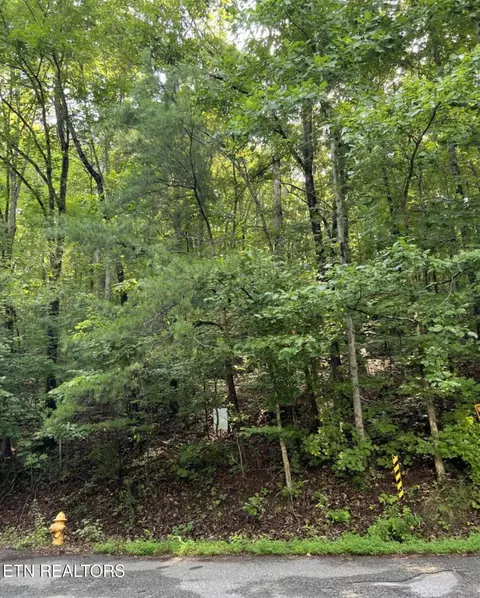 lot167 Laurel Lake Cir, Madisonville, TN 37354