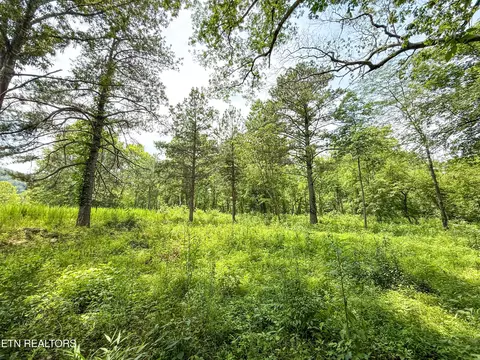 lot38 And 39 Black Oak Dr, Oak Ridge, TN 37830