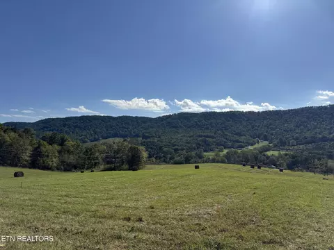 3225 Little Sycamore Rd, Tazewell, TN 37879