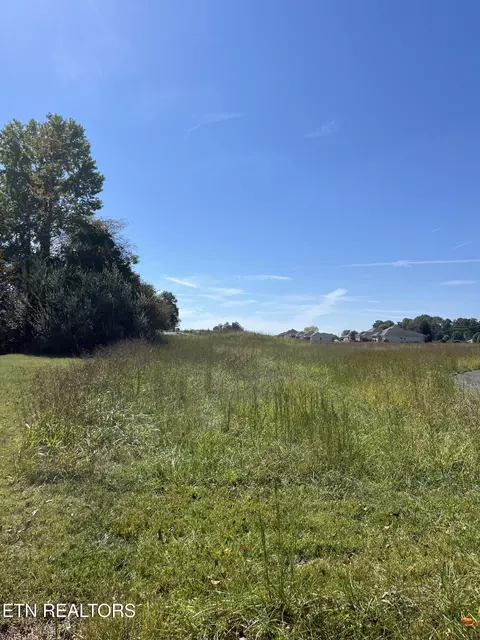 Nunnehi Tr, Vonore, TN 37885