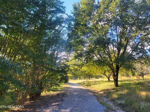 181 Sunshine Ln, Spring City, TN 37381