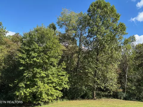 595 Ricky Dr, Talbott, TN 37877 photo 1