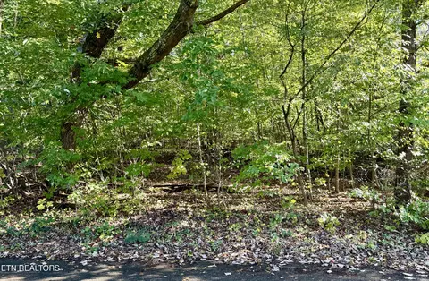 Reagan St, Harrogate, TN 37752
