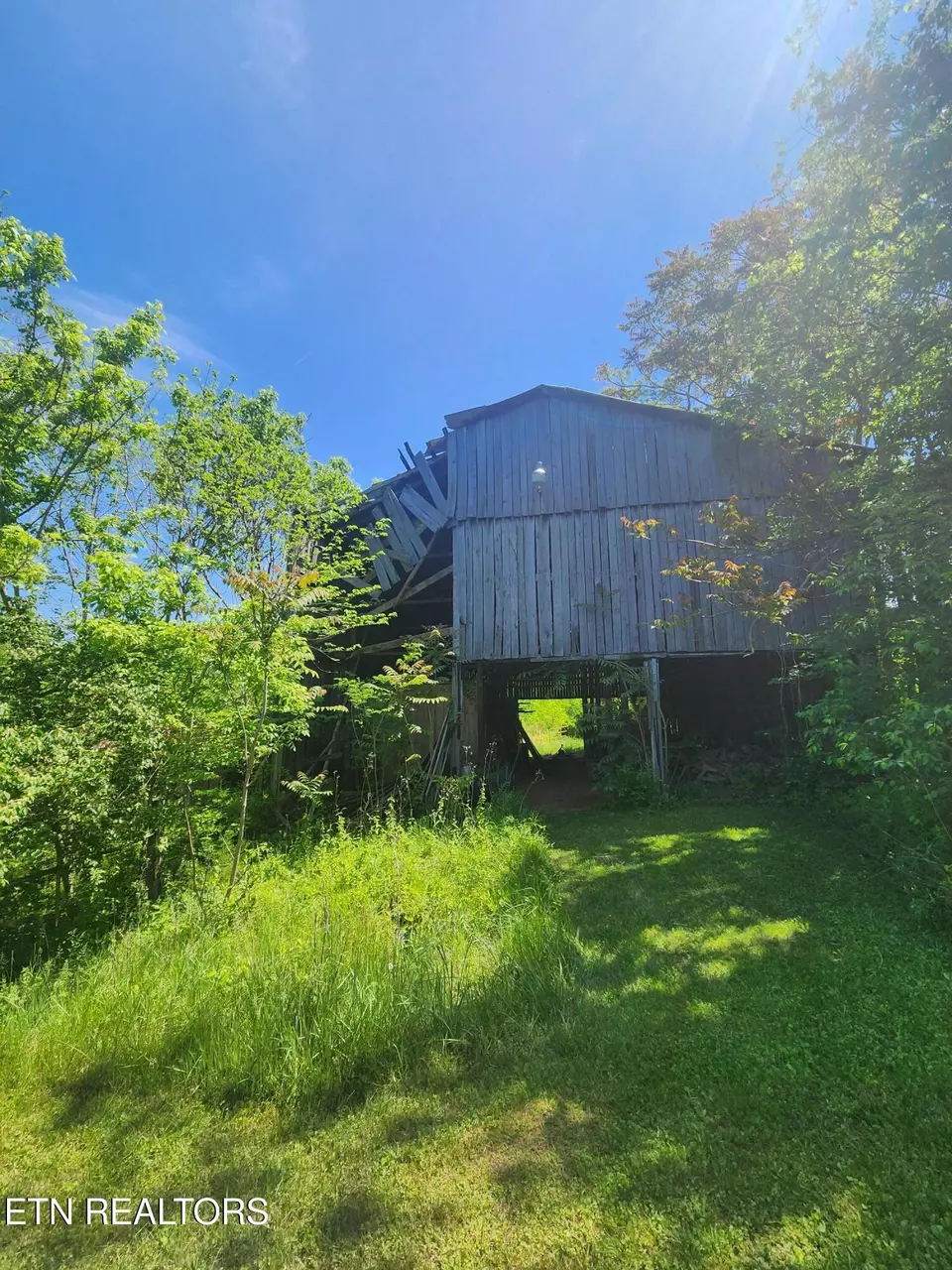 Exterior - 835 Nance Rd, Rutledge, TN 37861 photo 7 of 12