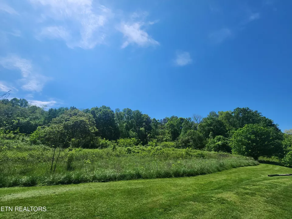 Exterior - 835 Nance Rd, Rutledge, TN 37861 photo 10 of 12