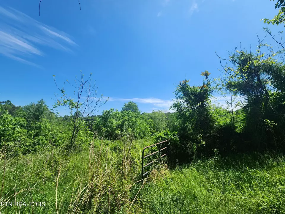 Other - 835 Nance Rd, Rutledge, TN 37861 photo 4 of 4
