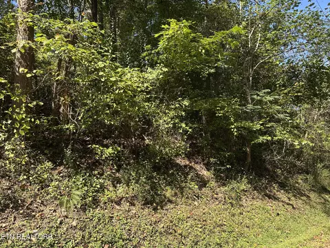 lot12 Hickory Hill Dr, La Follette, TN 37766