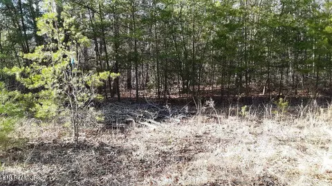 14 Clear Fork Dr, Jamestown, TN 38556